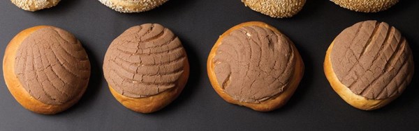 Conchas