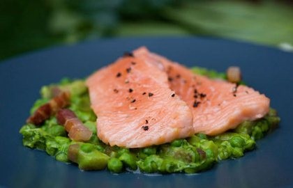Confit of wild salmon with peas à la Française