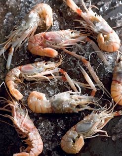 Confit scampi (Zigala)