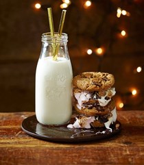 Cookie s'mores
