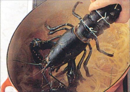 Cooking a live lobster