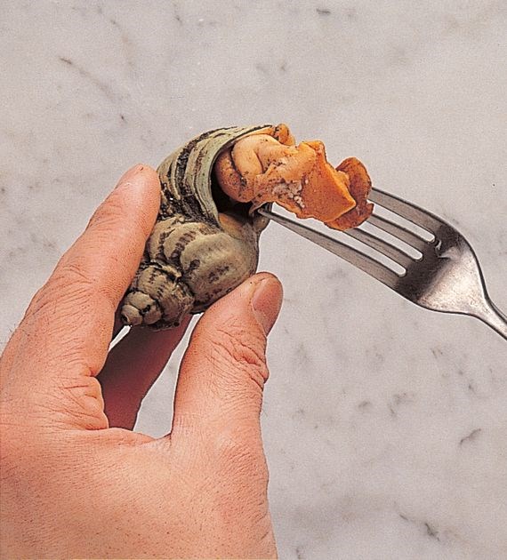 Cooking whelks