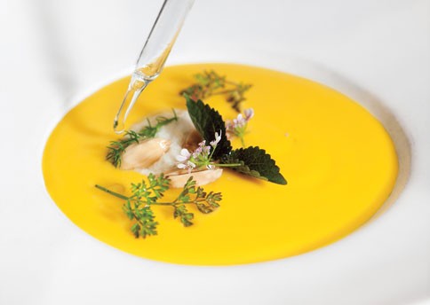 Cool melon soup
