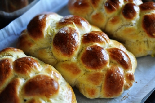 Cool rise challah