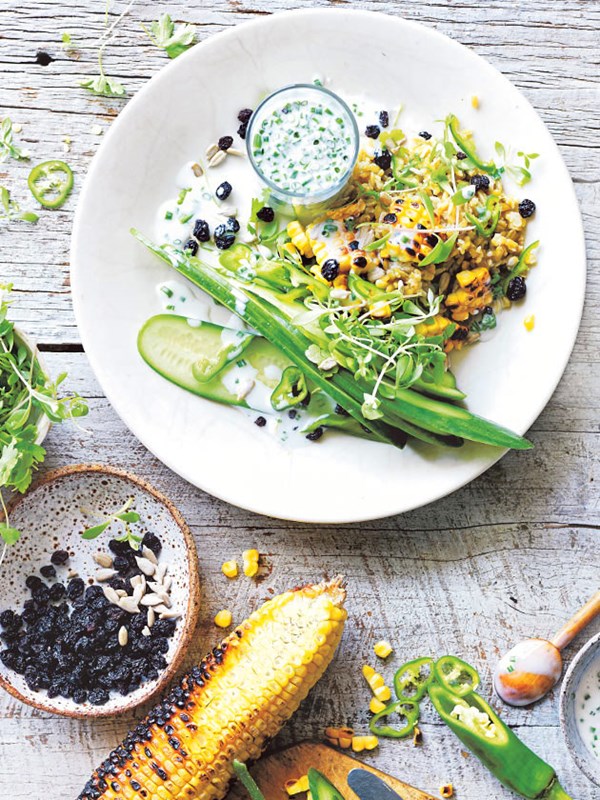 Corn and cucumber salad with cracked frekeh