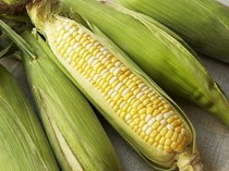 Corn on the cob with flavored butters