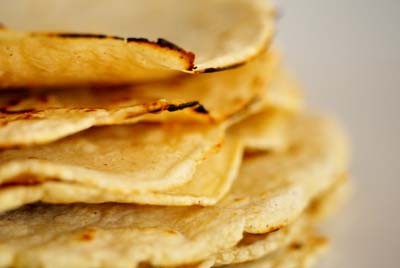 Corn tortillas