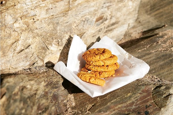 Cornish fairings