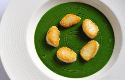 Cornish haddock with sea beet soup and olive oil