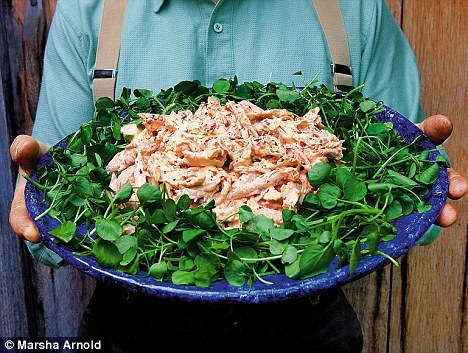 Coronation chicken