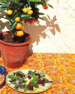 Country salad (Salade champêtre)