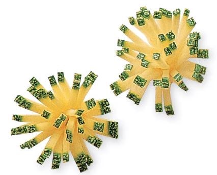 Courgette fireworks