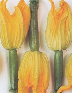 Courgette flowers with grilled vegetables