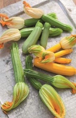 Courgette risotto