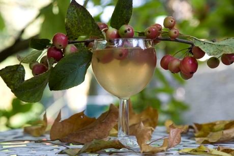 Crab apple wine