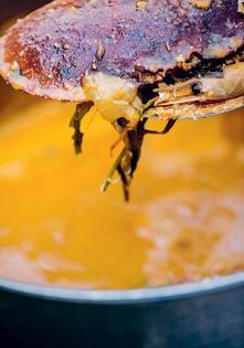 Crab chowder