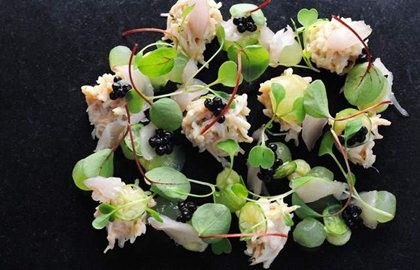 Crab salad, mackerel tartare, cucumber and avocado