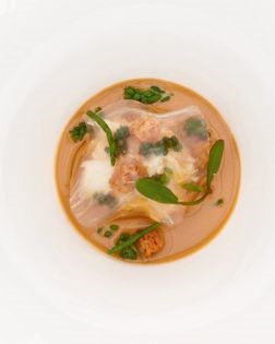 Crab/avocado/white balsamic jelly
