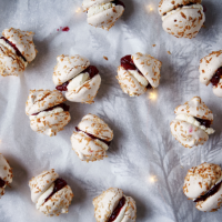 Cranberry coconut meringue kisses