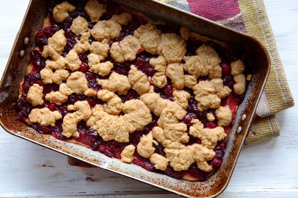 Cranberry Newton bars