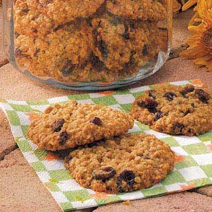 Cranberry oat yummies