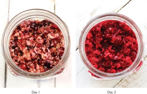 Cranberry-orange relish