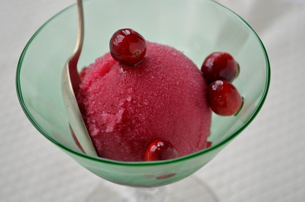 Cranberry, rosemary & gin sorbet