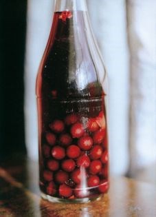 Cranberry vinegar cordial