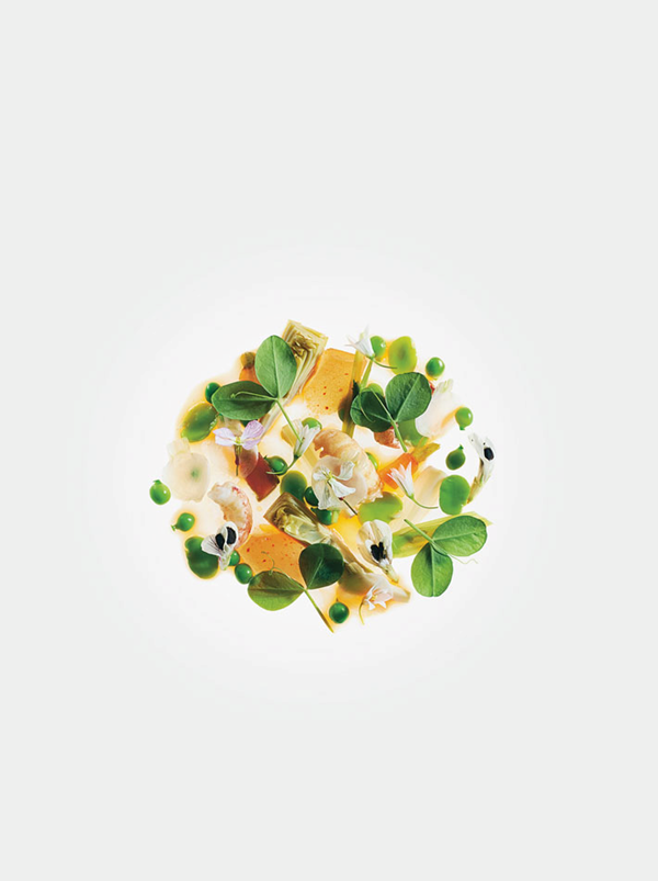 Crayfish and spring vegetable stew, spicy crayfish jelly