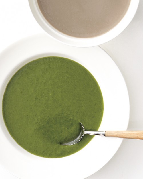 Cream of spinach soup