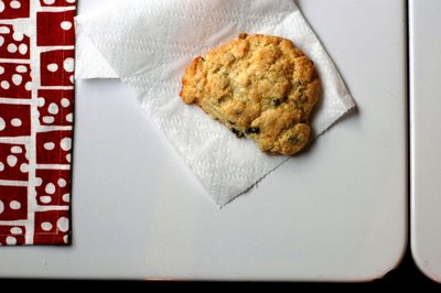 Cream scones with currants and fennel seeds