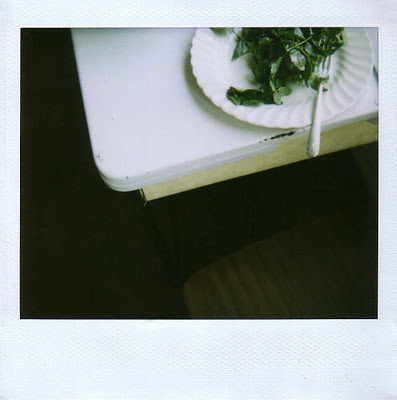 Cream vinaigrette
