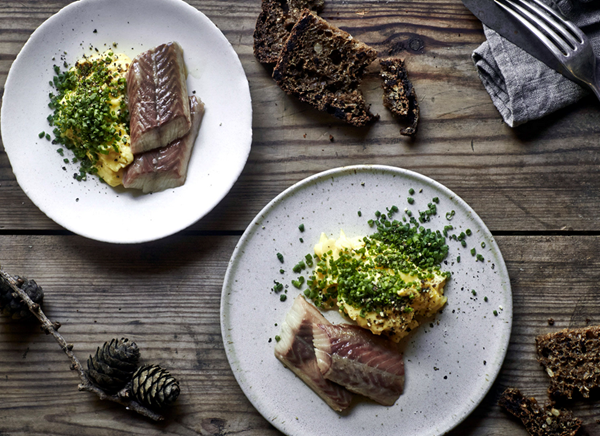 Creamed eggs and smoked eel with chives