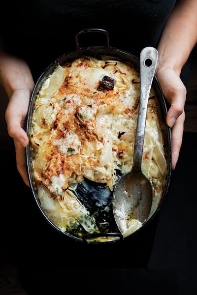 Creamed onion gratin 