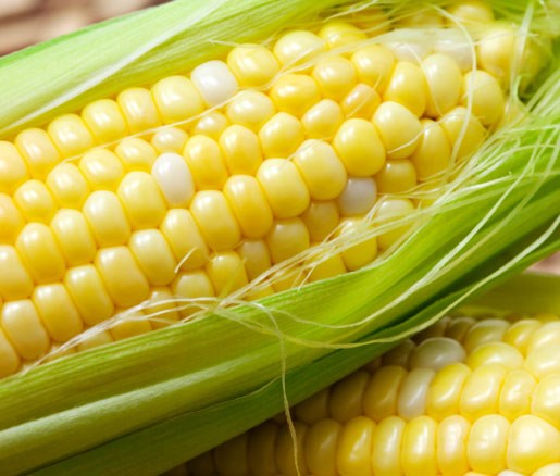 Creamed summer corn