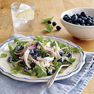 Creamy blueberry chicken salad