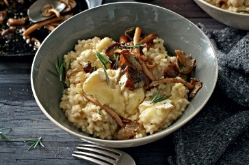 Creamy Brie & mushroom risotto