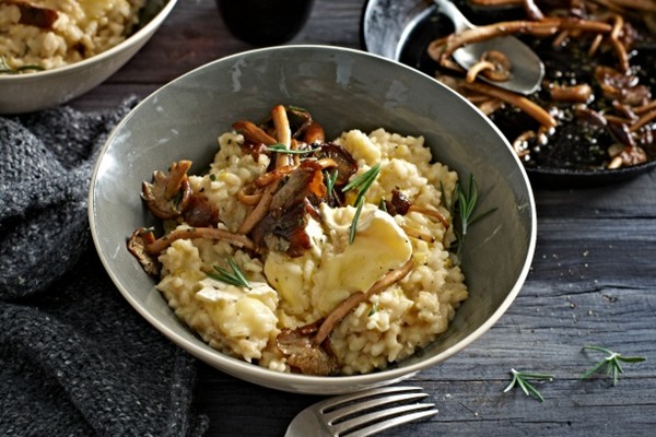 Creamy Brie and mushroom risotto