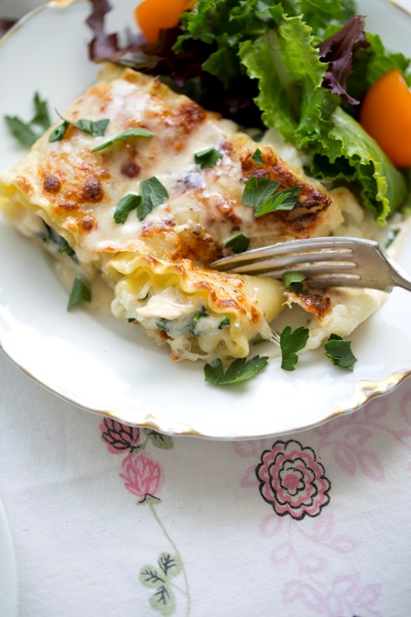 Creamy chicken Alfredo lasagna roll-ups