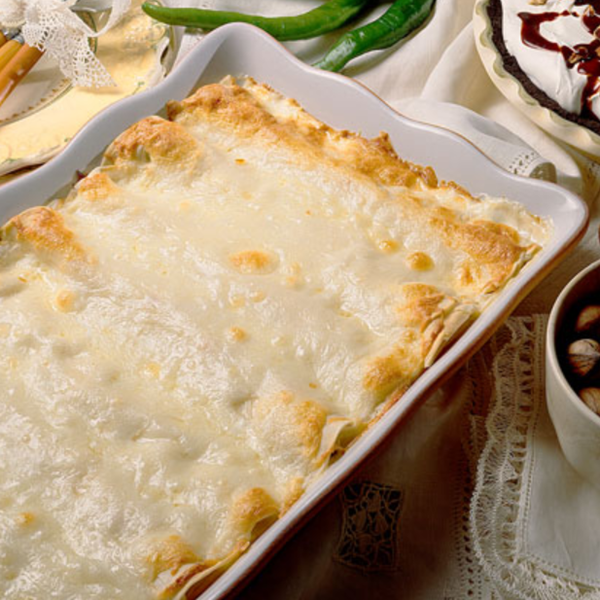 Creamy chicken enchiladas