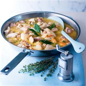 Creamy chicken in a white sauce