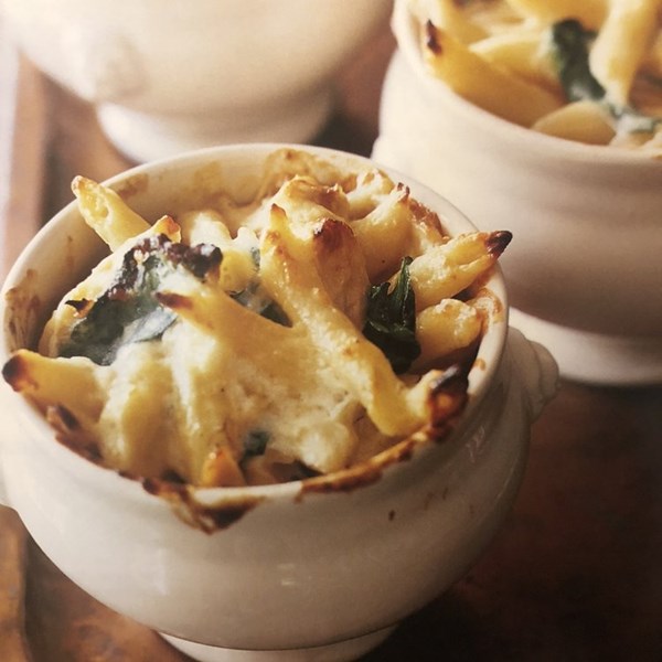 Creamy mac, chicken, and cheese