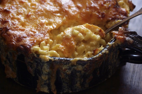 Creamy macaroni and cheese