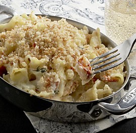 Creamy macaroni and cheese with lobster