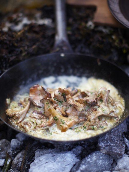 Creamy mushrooms