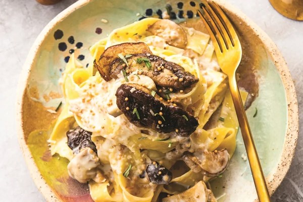 Creamy pasta with porcini and mustard seed sauce