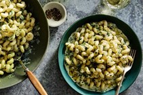 Creamy pasta with ricotta and herbs