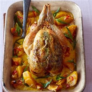 Creamy pot-roast chicken