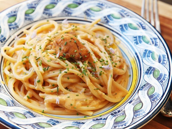 Creamy sea urchin (uni) pasta