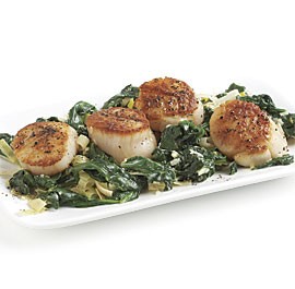 Creamy spinach and leeks with seared scallops